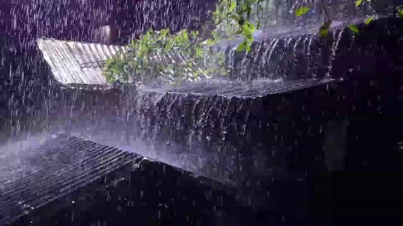 Heavy Rain on Tin Roof for Sleeping | Relaxing Night Rain Ambience