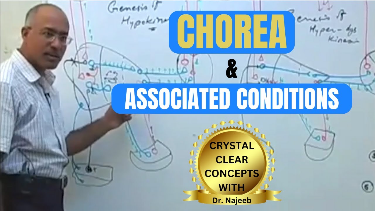 Chorea and it's Associated Conditions | Neurophysiology🧠