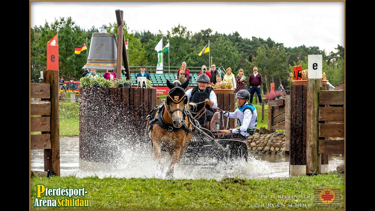 Fahrt zur Deutschen Meisterschaft der Einspänner, Para, 2020 in Schildau Ivonne Hellenbrand