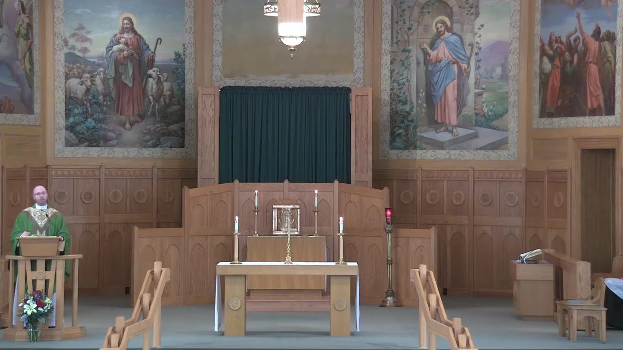 6th Sunday in Ordinary Time Homily - Fr. Kyle Doustou