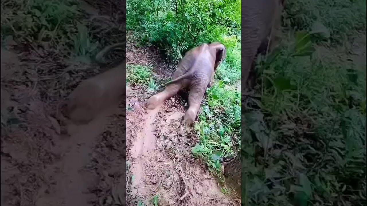 Mud Sliding Time😄🤩