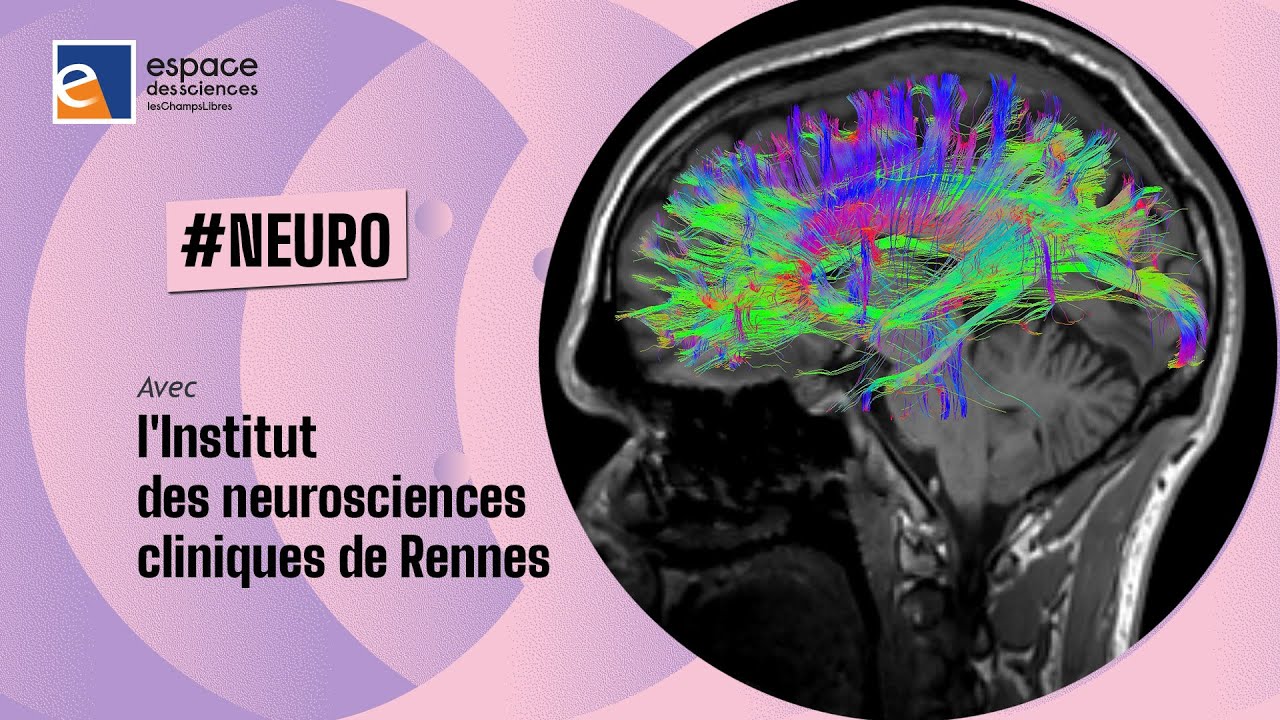 🧠 [INCR] L’avenir en tête