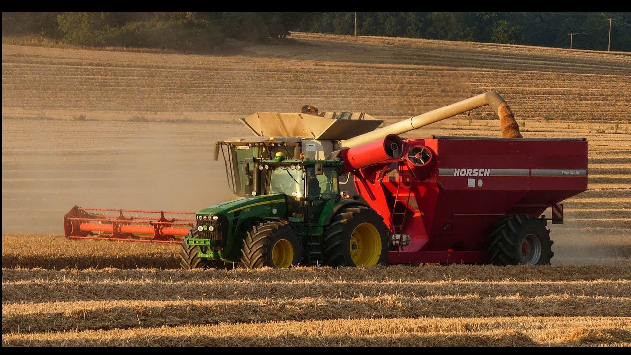 Żniwa Stary Jaworów 2015 | Milikowice | 3x Lexion | John Deere | Harvest in Poland