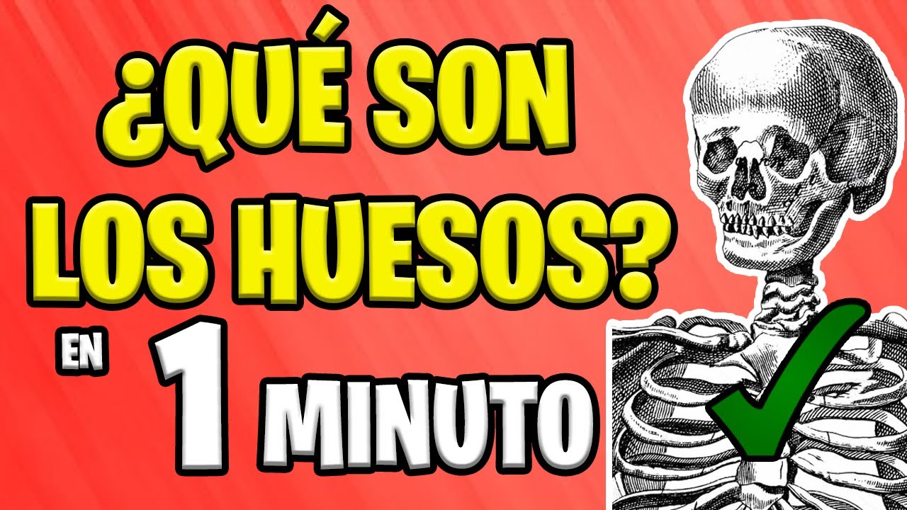 ✅ ¿QUÉ SON LOS HUESOS? en 1 MINUTO 😱