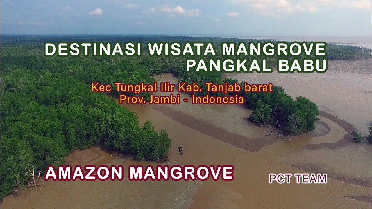 WISATA ALAM MANGROVE || Destinasi Wisata MANGROVE Pangkal Babu