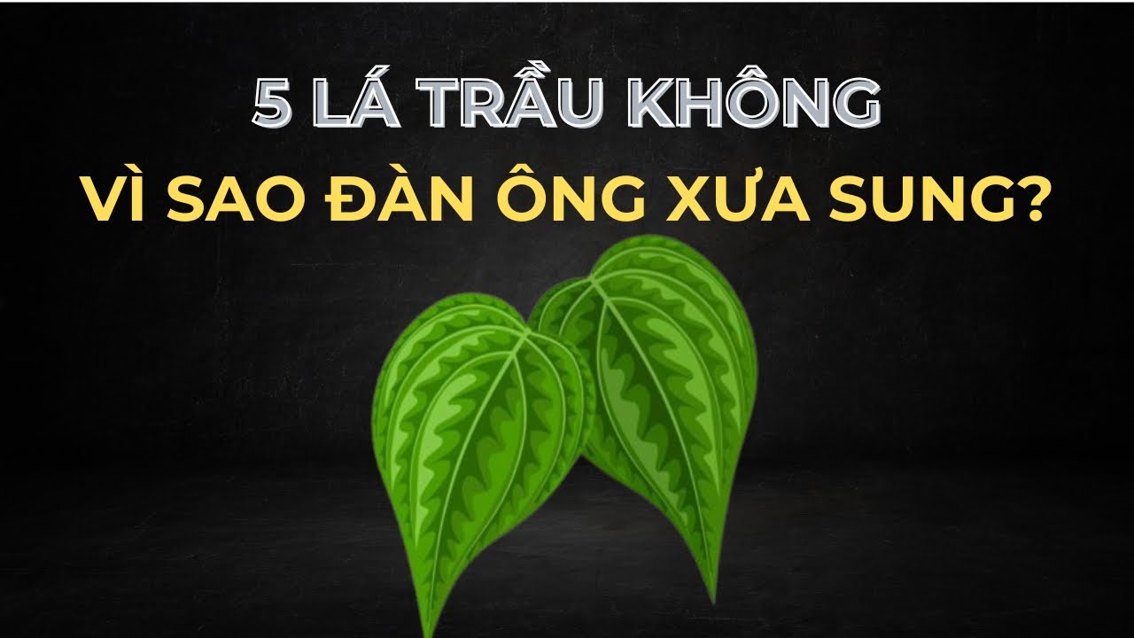 Chỉ Với 5 Lá Trầu Không Vì Sao Đàn Ông Xưa Luôn Sung Mãn?