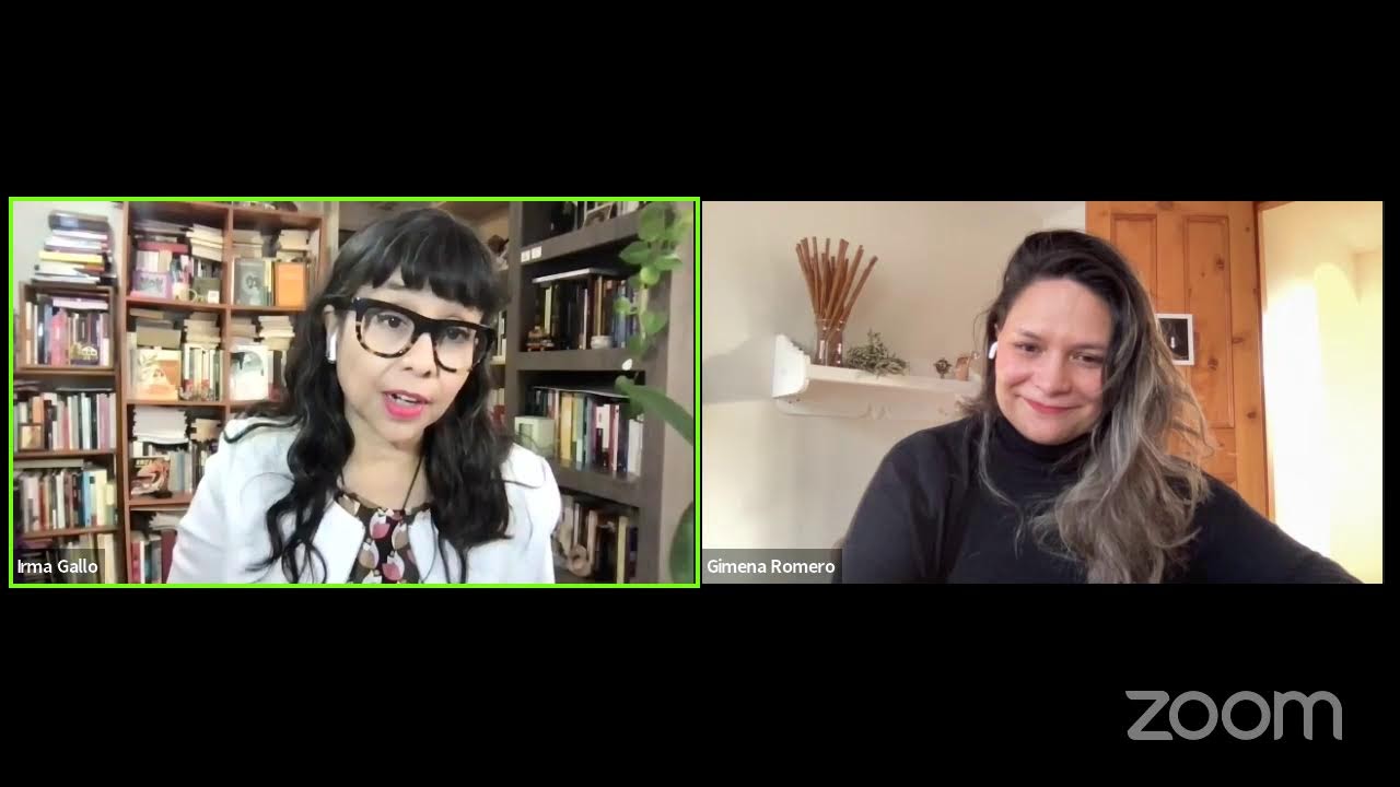 Entrevista a Gimena Romero sobre su libro Bordado pictórico