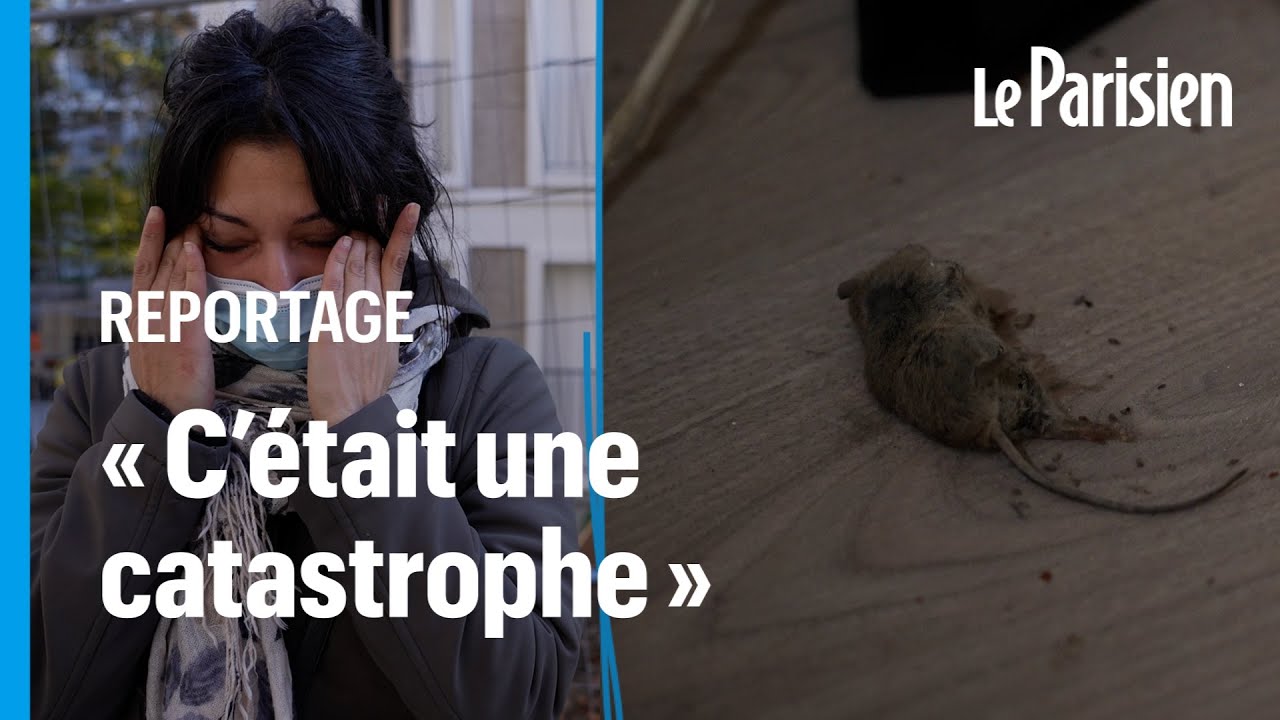 Son père décède chez lui après une morsure de rat, elle porte plainte contre Paris Habitat
