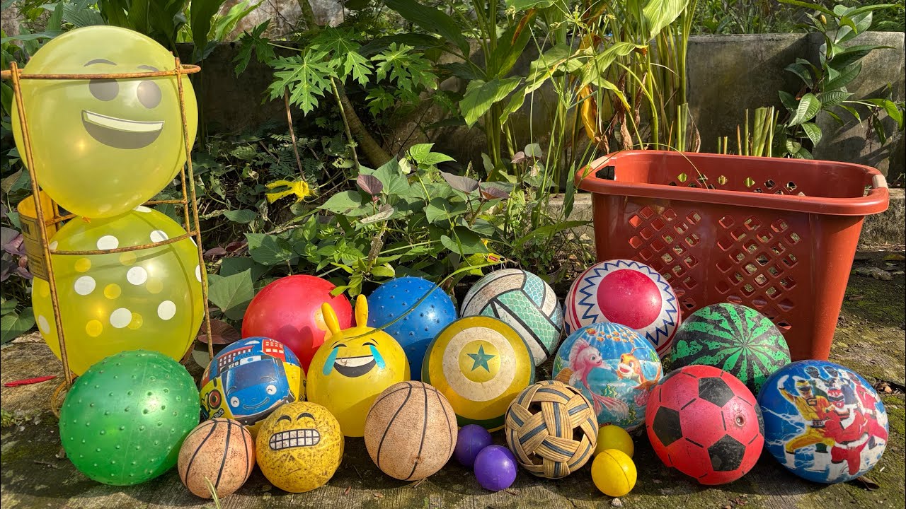 HUNTING BALON LUCU 🎈DAN BOLA BOLA ⚽️🏐🏀 605