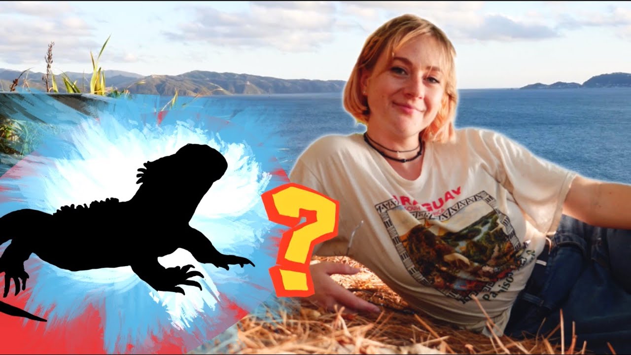 camping on an island with living fossils!! | MATIU/SOMES ISLAND VLOG