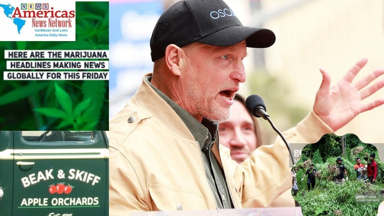 Cannabis News Today