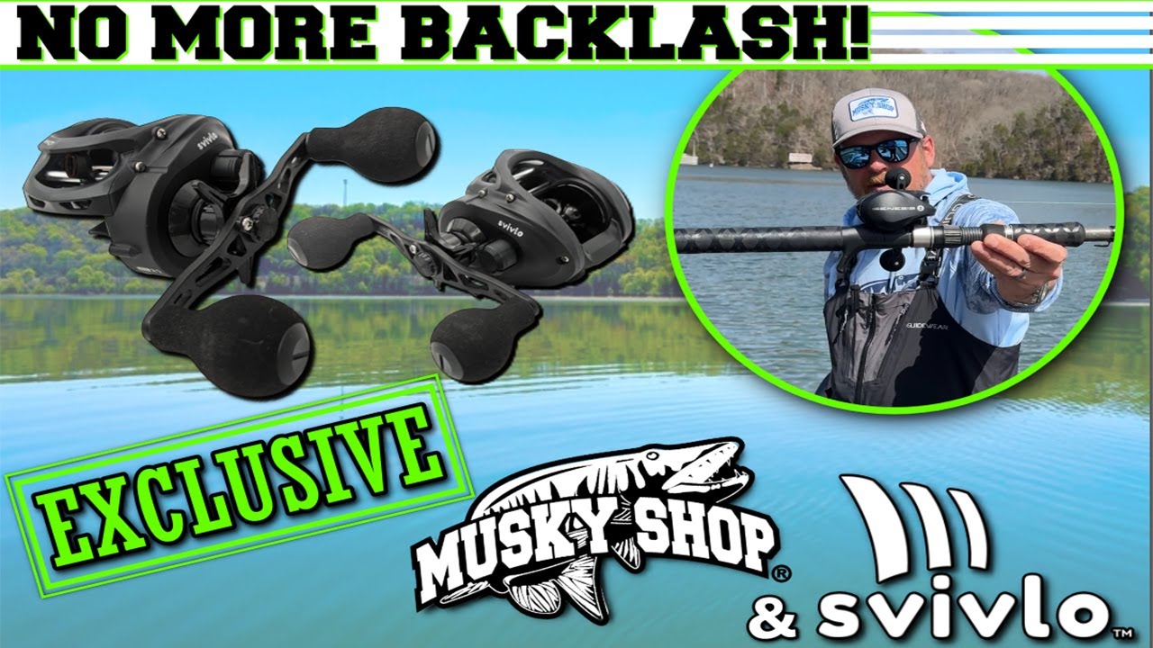 No More Backlashes-Svivlo Genesis Reel