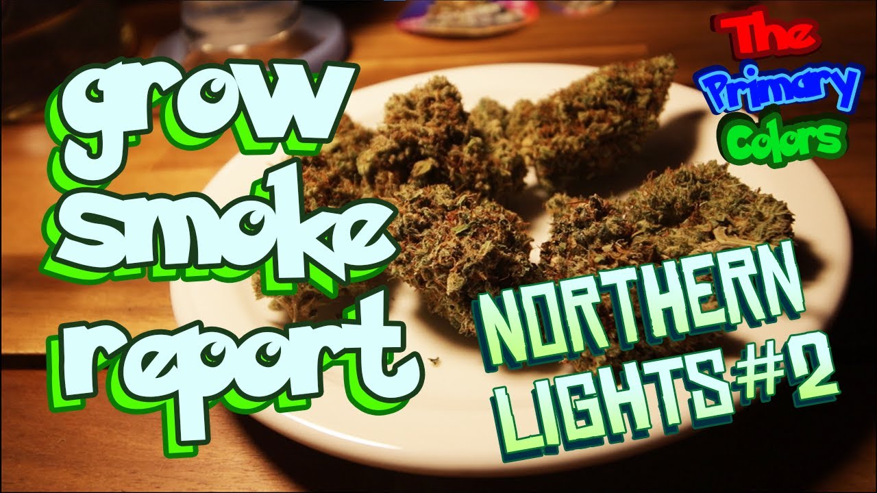 Northern Lights #2 Семена для сбора урожая Отчёт о курении/выращивании - Authentic Genetics выращ...