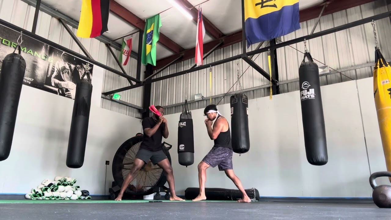 Jab on the target paddle