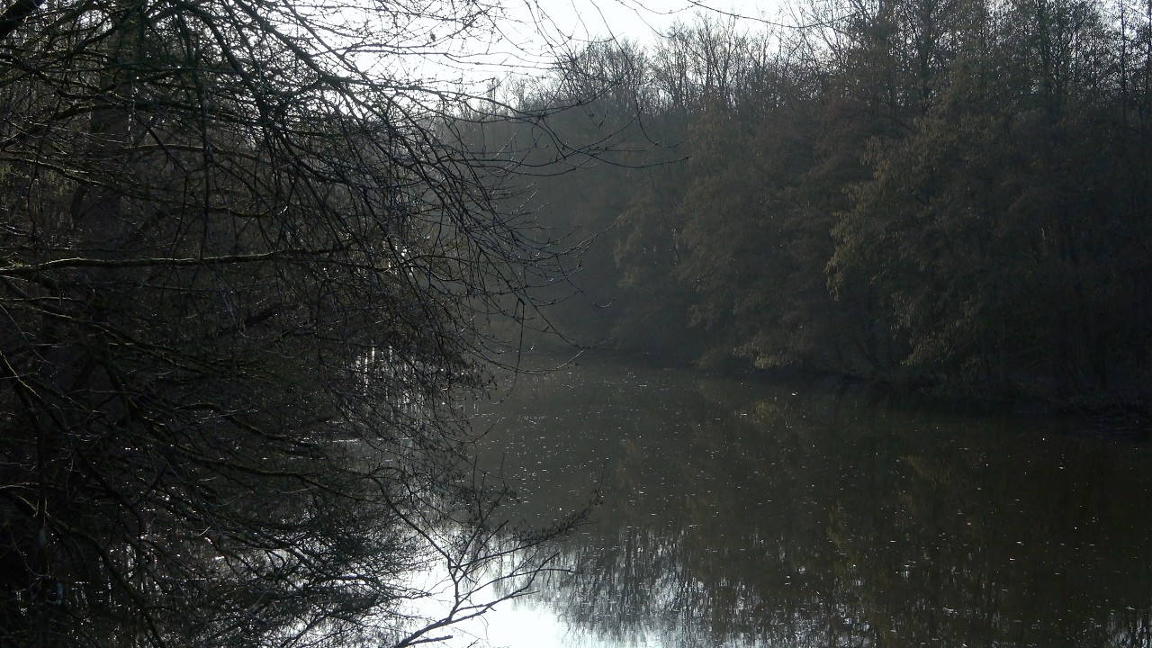 Amsterdamse Bos 030326