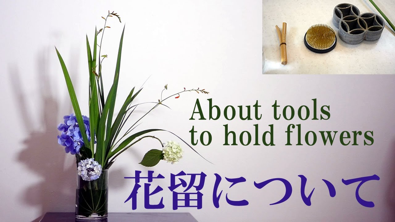 【生け花】ダイソー150円商品ガラス花瓶【ikebana】花留について！剣山、七宝、又木/葉を使って留める/About tools to hold flowers/關於捧花的工具/ leaf/tips