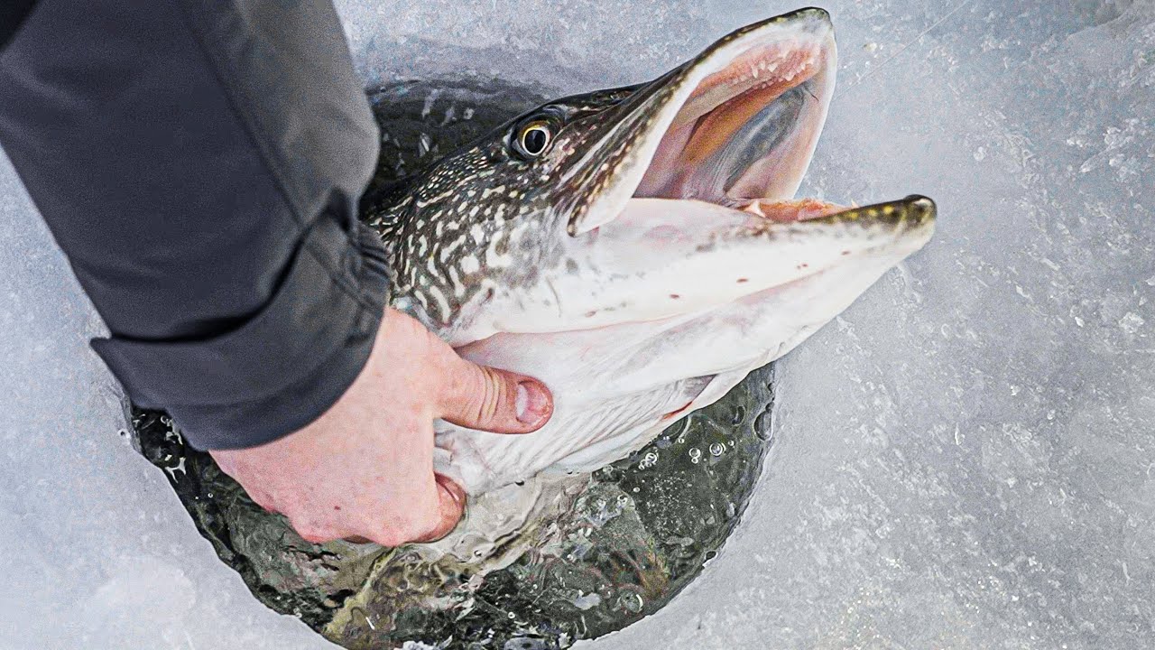 Ice Fishing Dream Trip