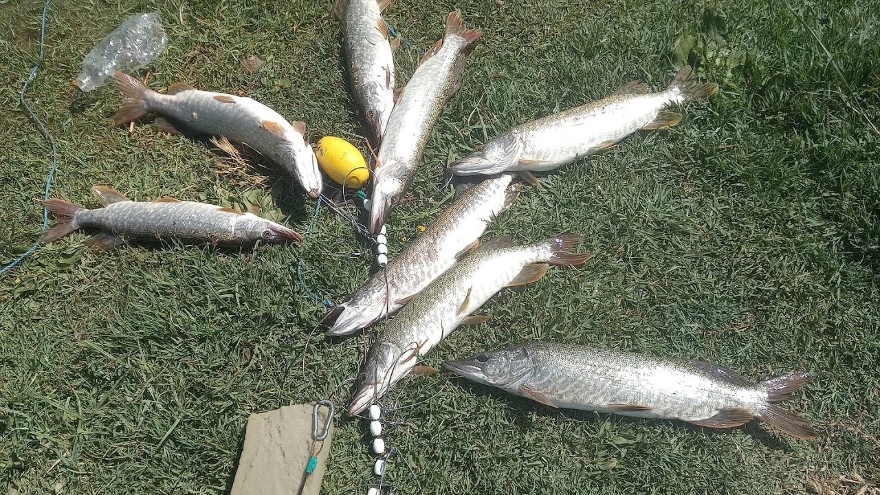 Turna avı obruk barajı