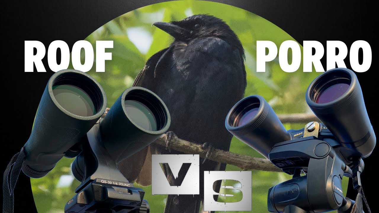 🔍 Comparing Nikon 12X50 Porro Prism vs. Roof Prism Binoculars! 🌟 Which offers superior quality? 🤔