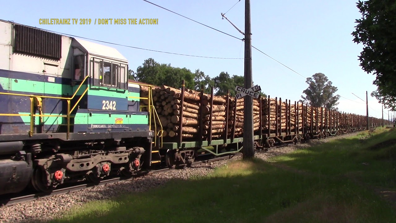 (CHILE) Tren cargado con trozos de madera, pasando por Quillém.