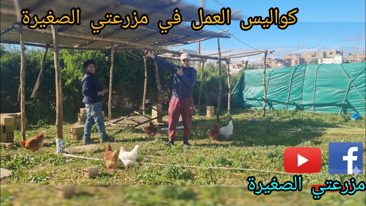 مشروع جديد / بناء عنبر جديد في المزرعة الصغيرة 