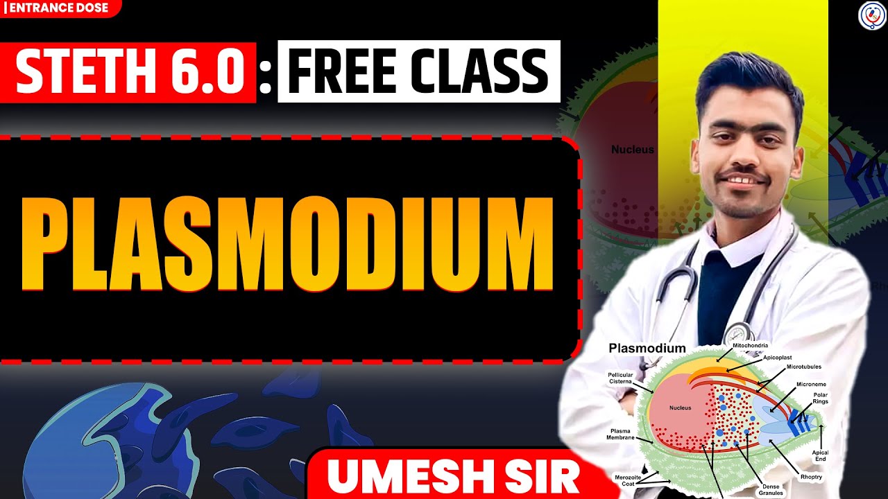 Master Plasmodium Concepts, Smart Tricks & PYQs | Free Demo Class | Enroll in STETH 6.0 for CEE 2026