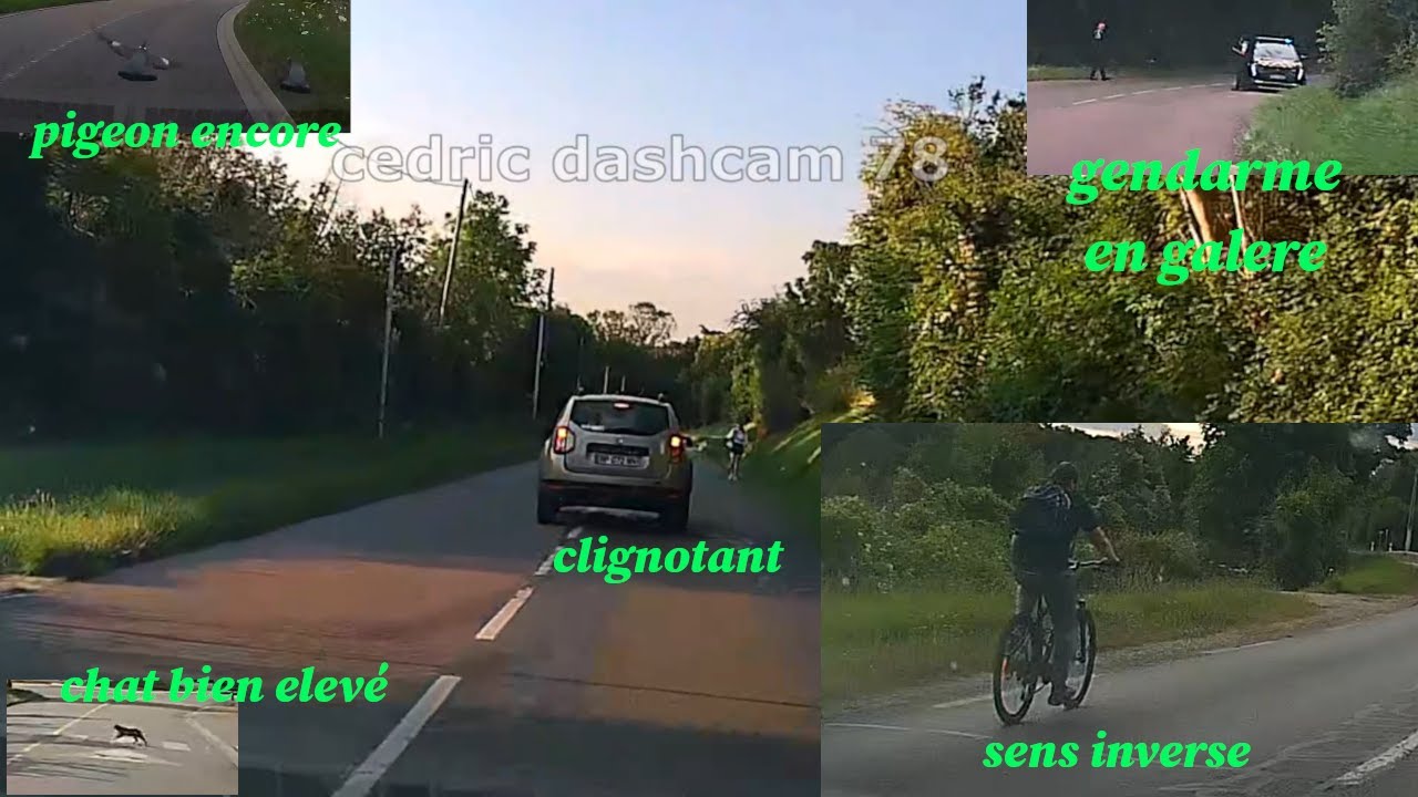 daily obs 198 le gendarme a merdé