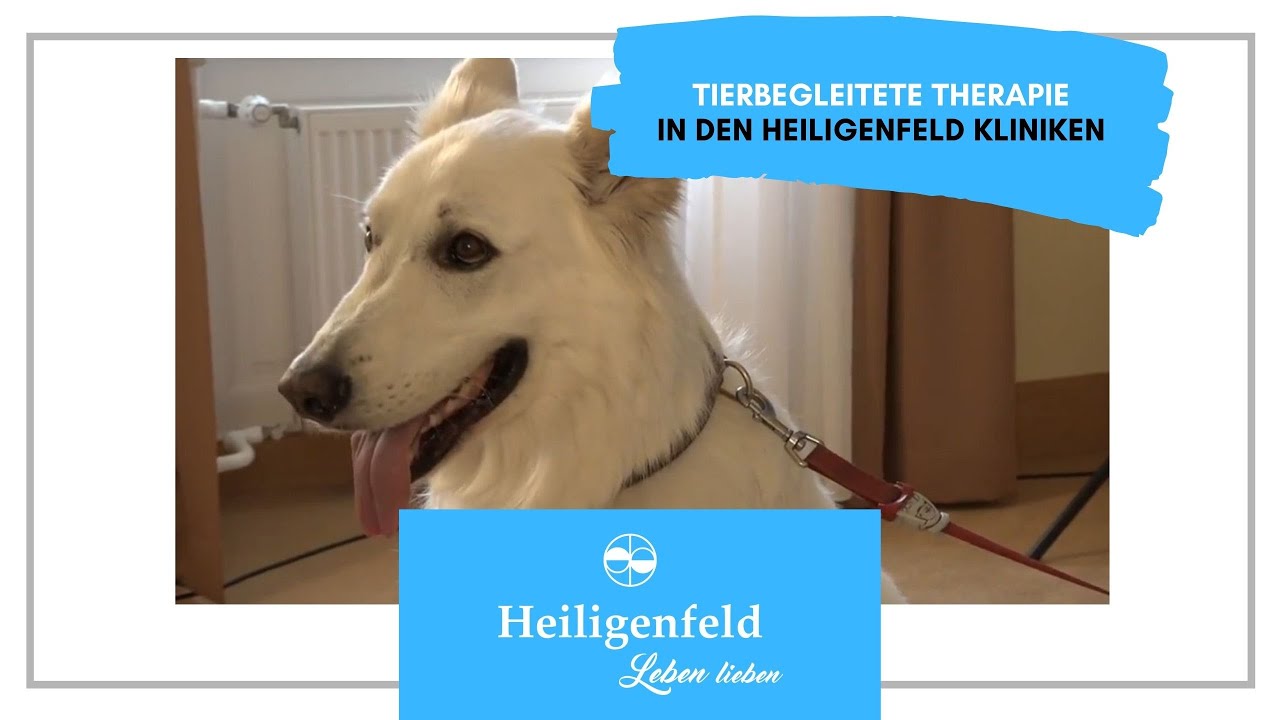 Heiligenfelder Zentrum für Tierbegleitete Therapie (TBT)