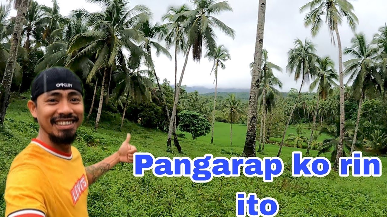 SURPRISE! May Bago Akong Pagkakaabalahan 😎🌱”“