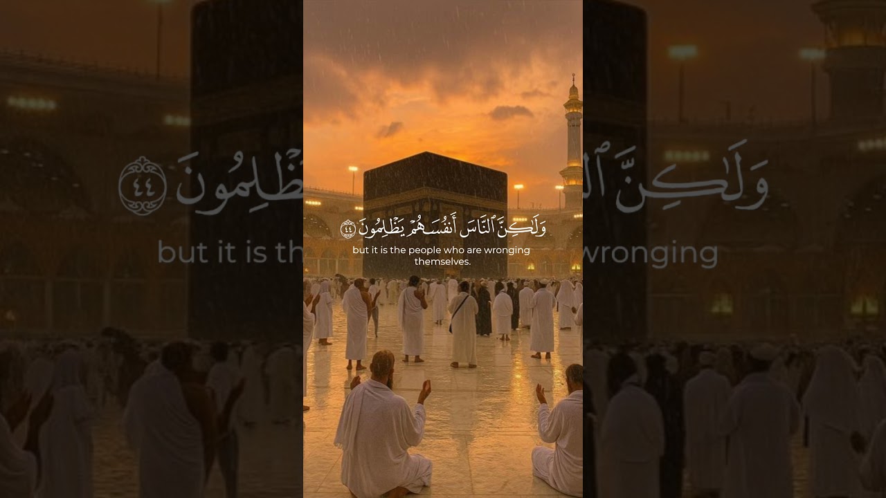 #Tazkiyah#IslamicMindfulness#IslamicHealing#QuranHealing#PeaceThroughIslam#MentalHealthInIslam