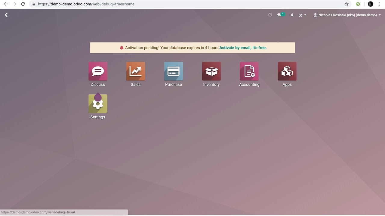 Odoo V12 - How to Import Orders