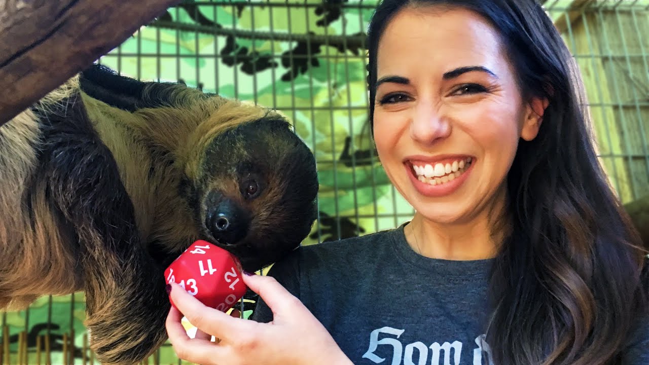 #SlothAndSundry: SLOTHS on Twitch Announcement w/ Laura Bailey!