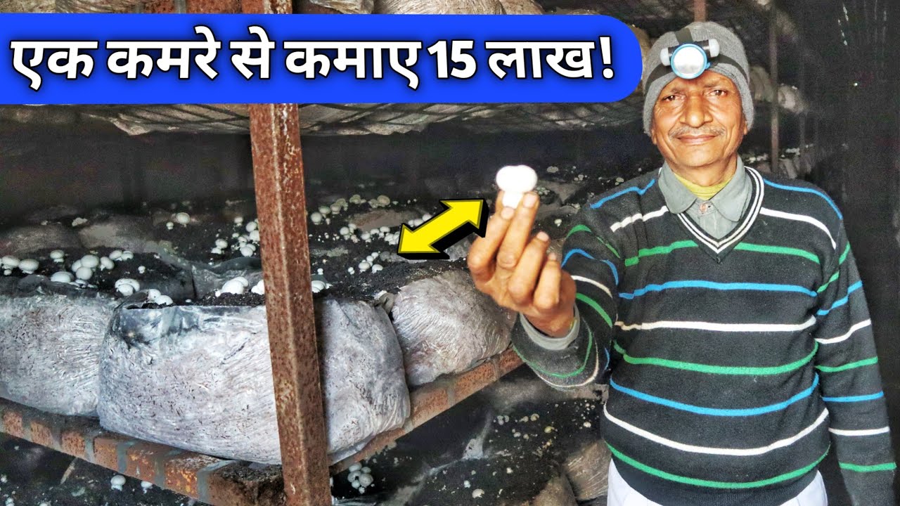 सफल मशरूम किसान कुशालचंद | Complete information of Mushroom Farming in INDIA 2020