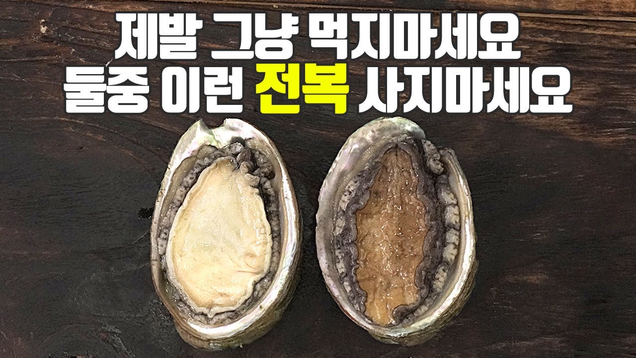 전복의 모든것! 이것만숙지하세요! 손질법, 찌는법, 보관법, 효능