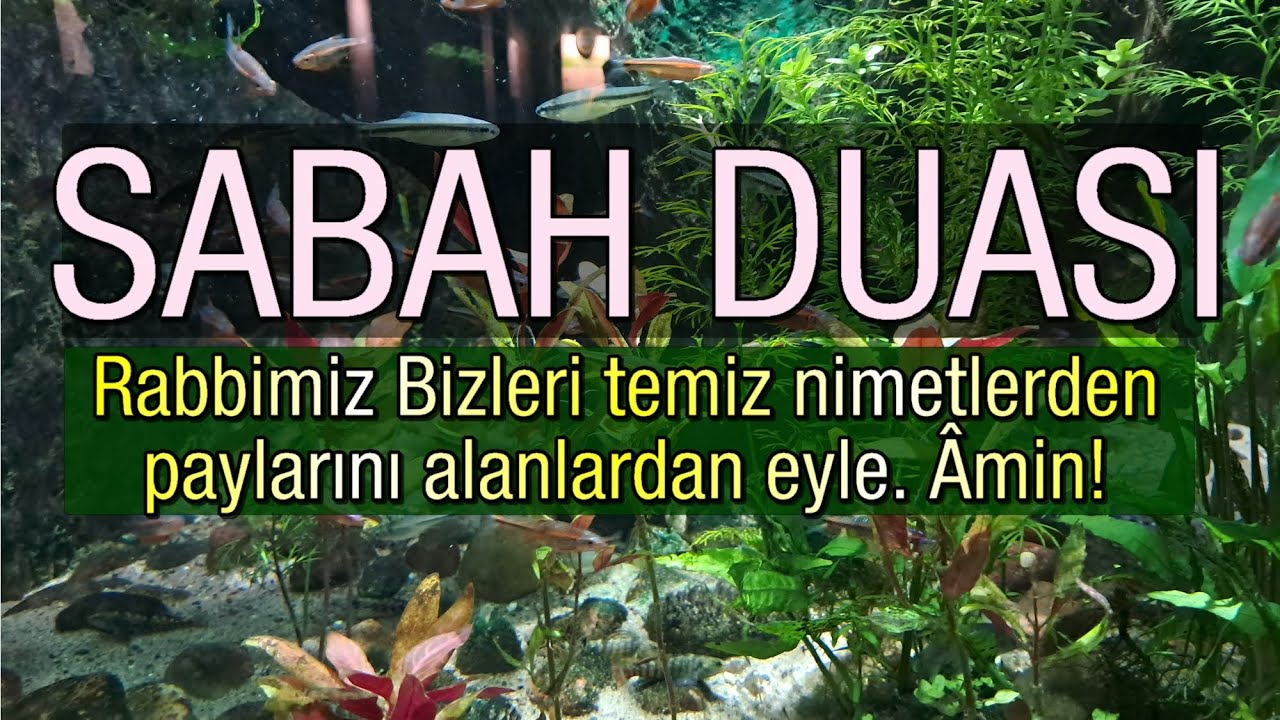 Allah’ım! Bize Kendi sevgini ve senin yanında sevgisi bize fayda verecek kimsenin sevgisini ver.