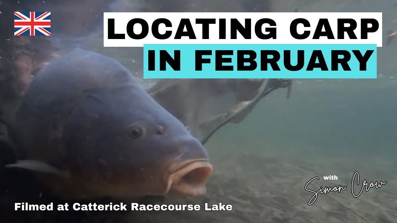 Locating CARP in February