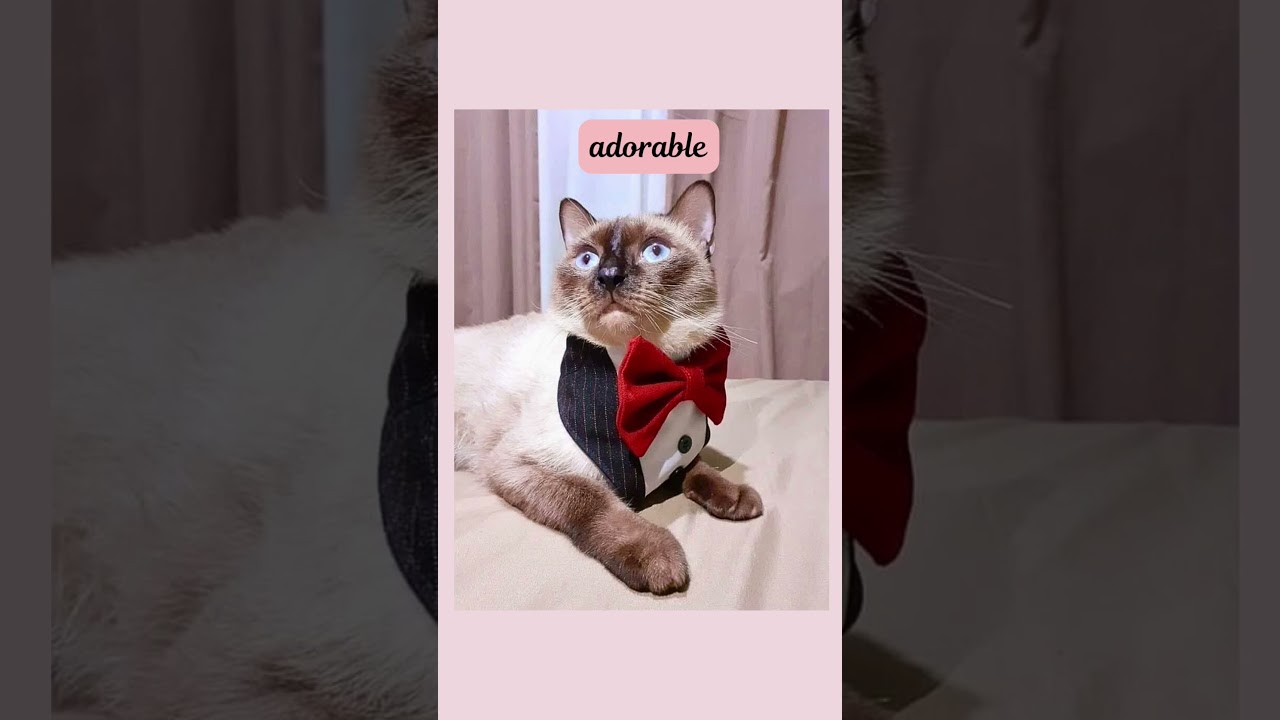 Here's how I make money sewing cute bandanas!