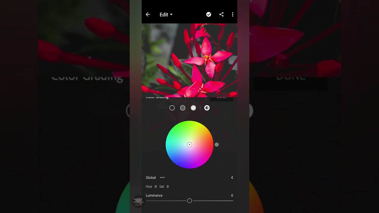 macro photography preset.  lightroom preset tutorial #mobilephotography #samsunggalaxy