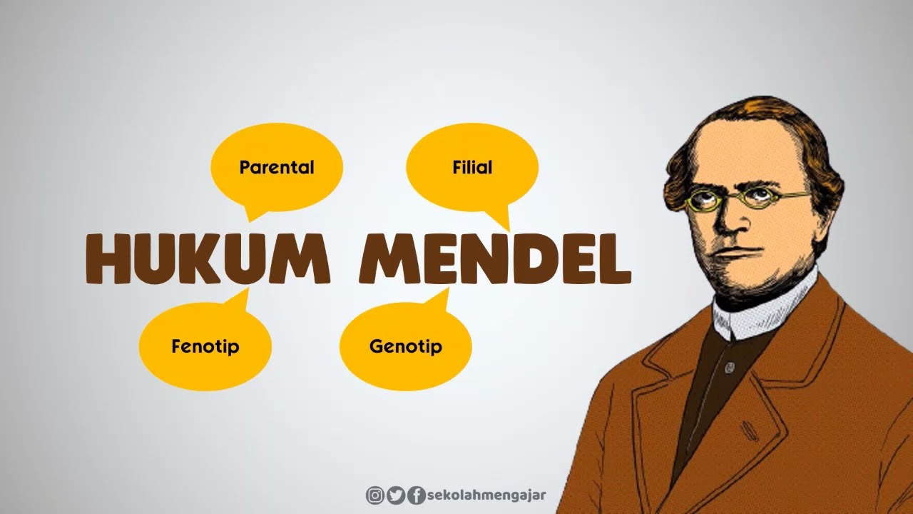 Hukum Mendel 1 (Persilangan Monohibrid) - Media Pembelajaran SMA Kelas XII