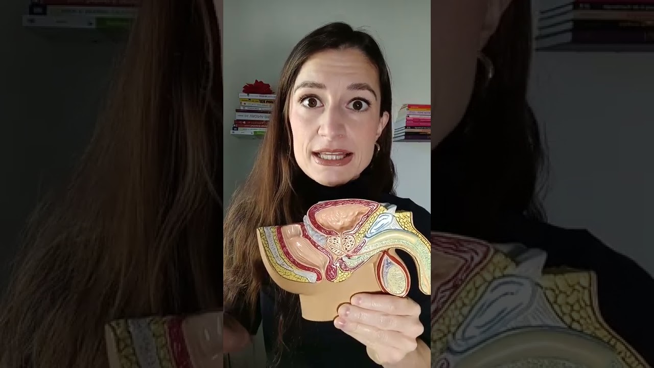 G-PUNKT beim MANN | PROSTATA STIMULIEREN - gewusst wie!