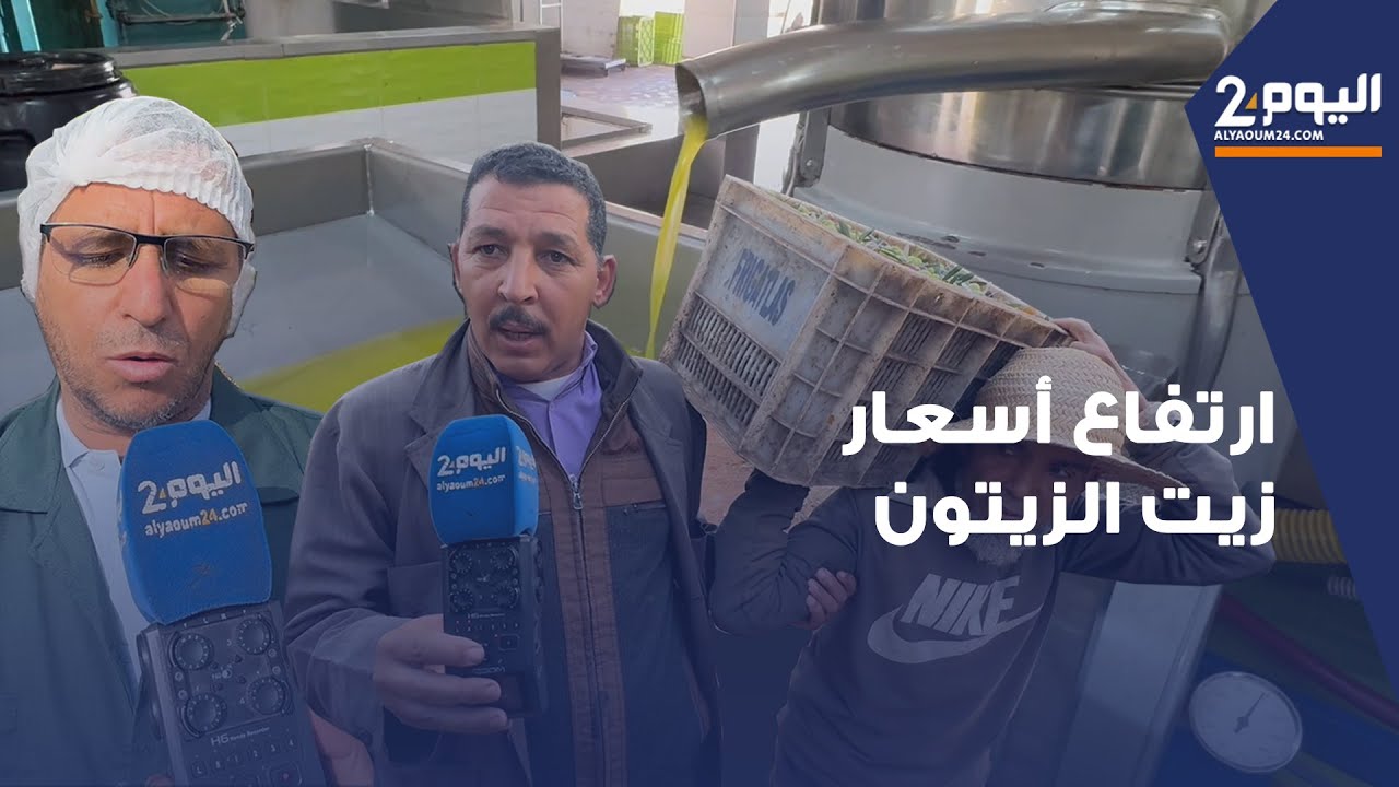 روبورتاج / مهنيو زيت الزيتون بمراكش يشتكون قلة المنتوج و ثمن الزيت بلغ 110 دراهم للتر
