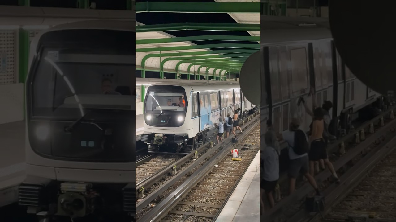 Graffiti Painting Train via @peterlustig.mp3 . #graffiti #graffitiart #shorts
