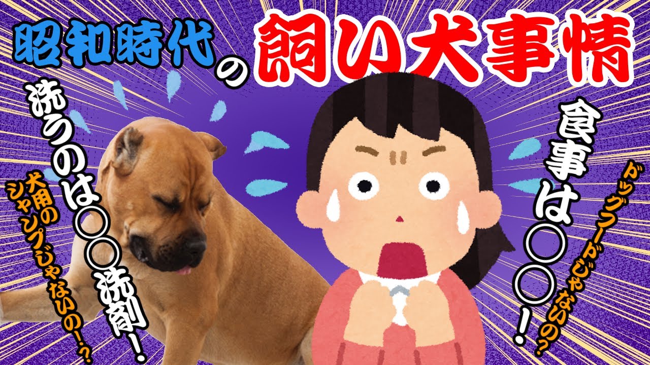 [昭和時代]犬の飼い方事情