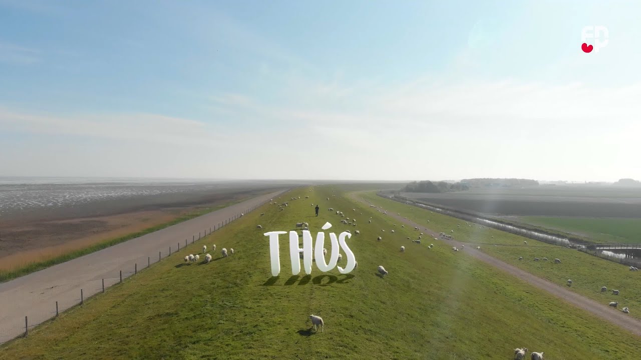 THÚS - FNP PS2023