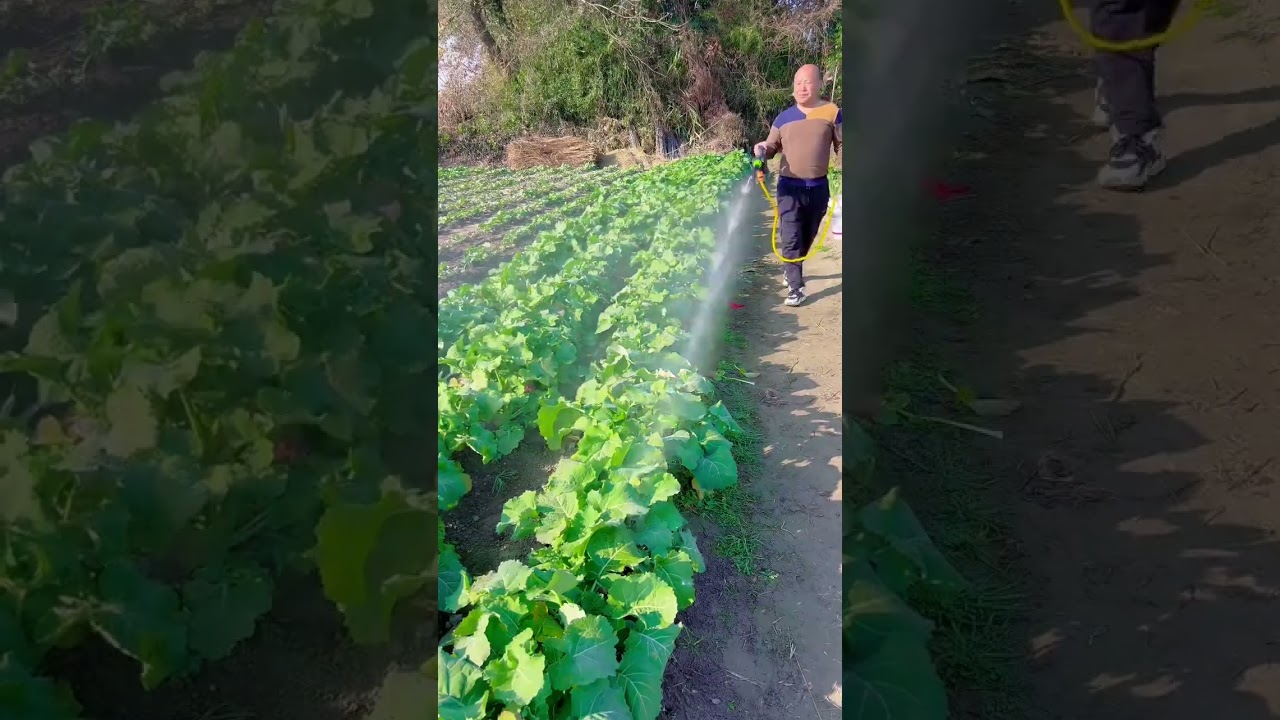 High Power Brushless Lithium Powered Car Wash and Sprayer 