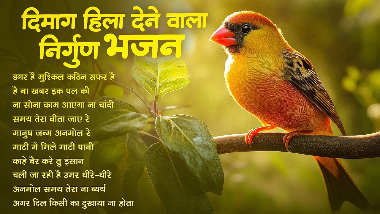 दिमाग हिला देने वाला निर्गुण भजन | Nonstop Nirgun Geet | Chetawani Bhajan 2026 | Nirgun Bhajan 2026