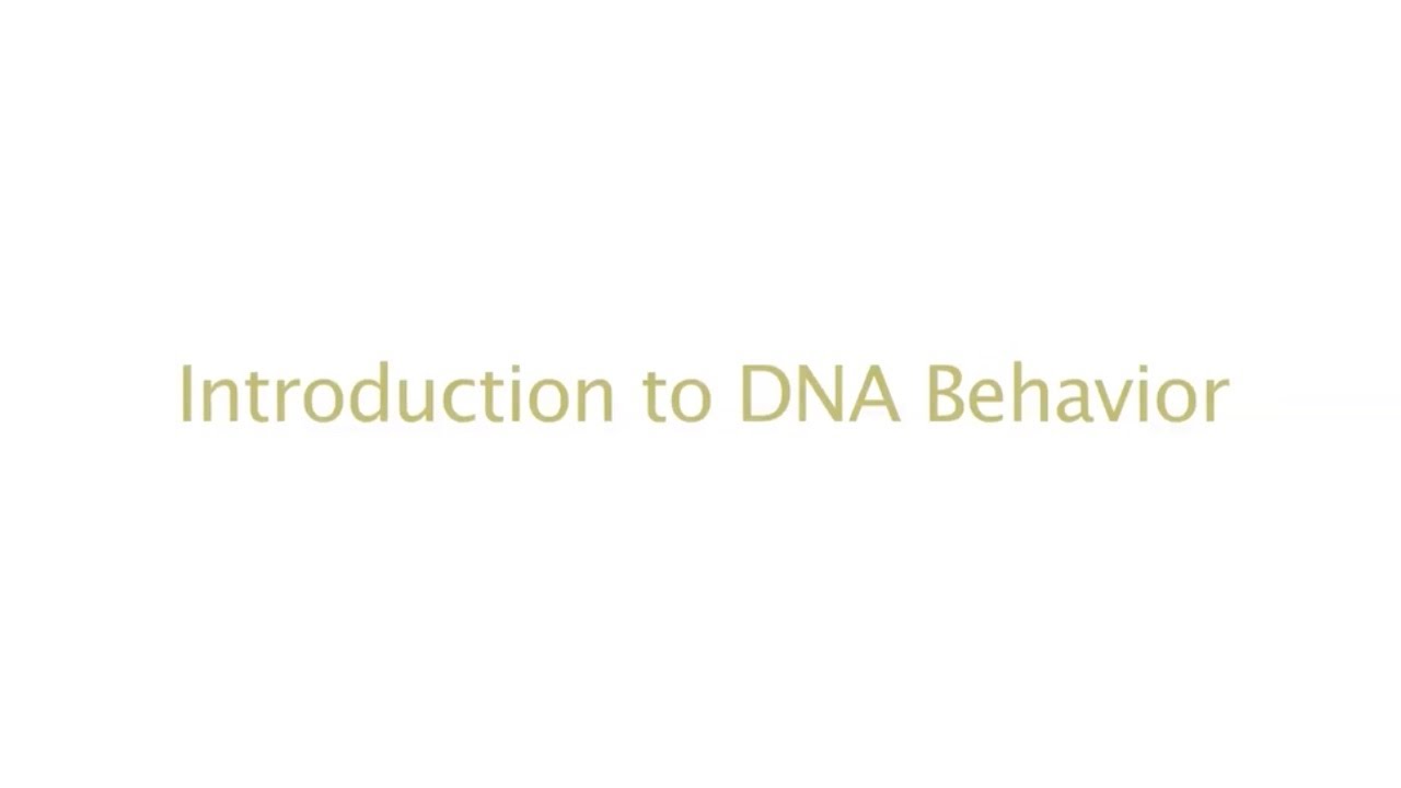 Introduction to DNA Behavior