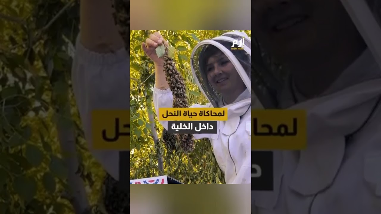 فيديوهات متنوعة عن العسل والنحل