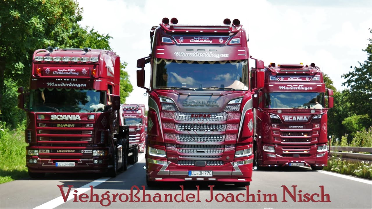 Viehgroßhandel Joachim Nisch in Munderkingen