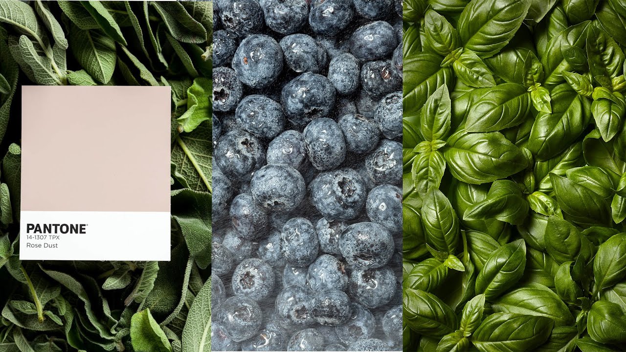 Is This Inspiration or Plagiarism with Photography